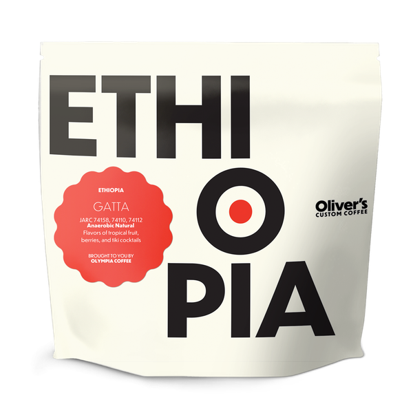 Ethiopia Rumadamo Anaerobic Natural by Olympia Coffee Roasting