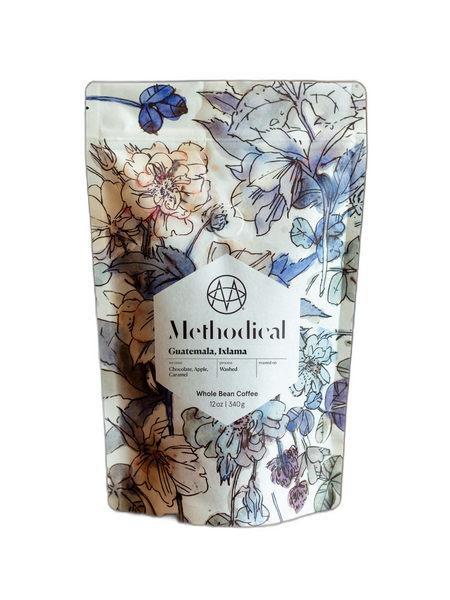 Guatemala Ixlama by Methodical Coffee