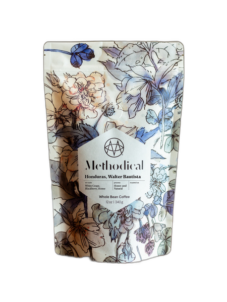 Honduras Walter Bautista by Methodical Coffee